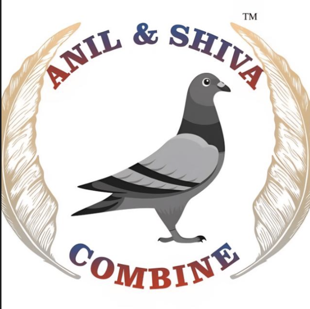 Anil & Shiva Combine