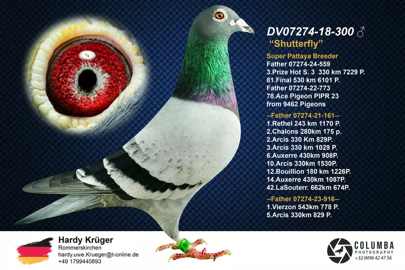 HARDY KRUGER SPECIAL