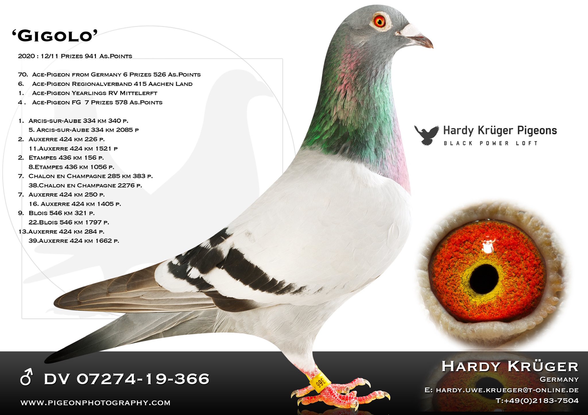HARDY KRUGER SPECIAL
